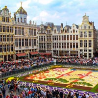 The Flower Carpet on the Grand-Place in Brussels.