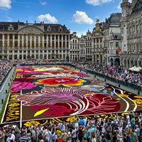 The Flower Carpet on the Grand-Place in Brussels.