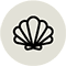 Mollusques