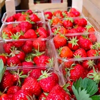 Illustratieafbeelding voor video van onze leverancier van aardbeien en ander seizoensfruit
