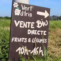 Illustratieafbeelding voor video van onze leverancier van verse seizoensgroenten